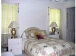 Royal Palm 2533