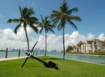 2415 Fisher Island Dr Unit: 2415